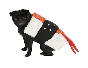 dog sushi halloween costume