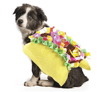 dog taco halloween costume