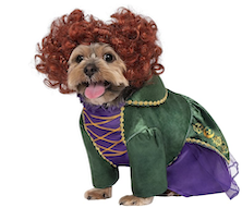 hocus pocus dog halloween costume