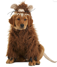 Princess bride dog halloween costume