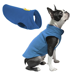 Blue fleece jacket on boston terrier Amazon