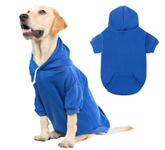 Labrador Retriever in blue hoodie for dogs