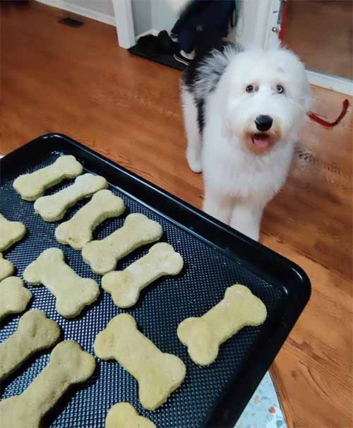 St. Patrick's Day Cookies Dog Treats - Tray