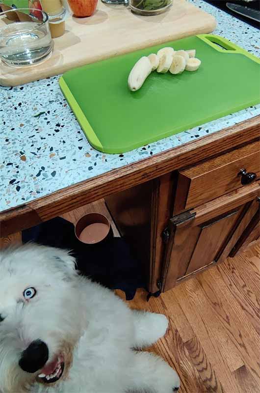 St. Patrick's Day Smoothie Dog Treat - Banana