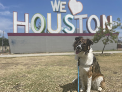 We love Houston Photo