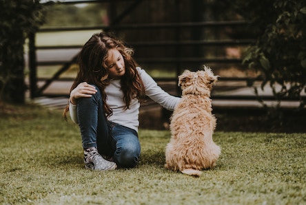 Little girl petting a dog in a field