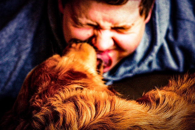 Dog licking a person's face