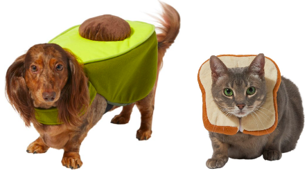 Pet Avocado Toast Costume