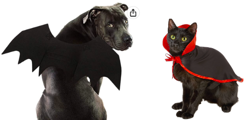Bat and Vampire Costume
