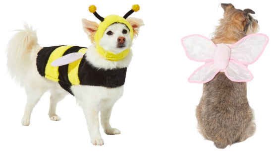 Pet Bee and Butterfly Costume