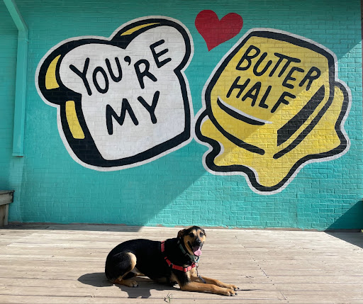 Dog laying by Butter Half Mural