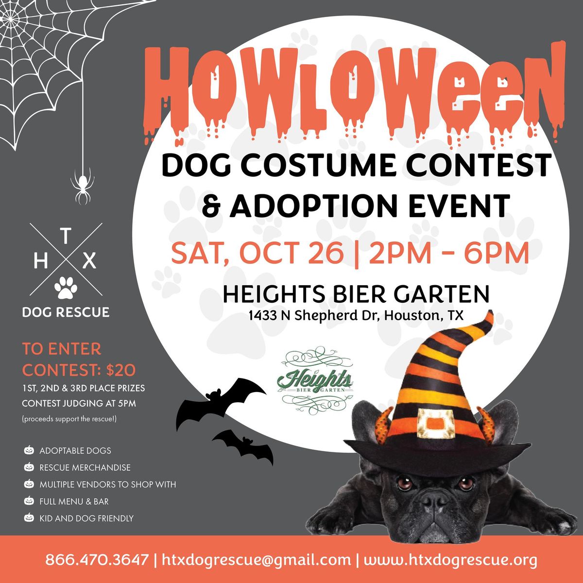 Houston Heights Dog Pet Friendly Halloween Event