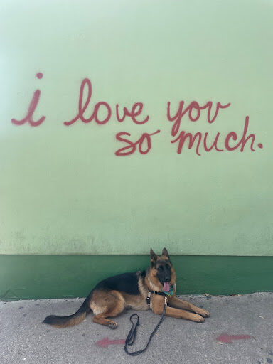 I love you so much mural with your dog