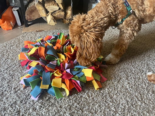 Puppy using a snuffle mat