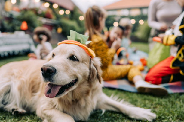 Houston Fall Dog Pet Friendly Events