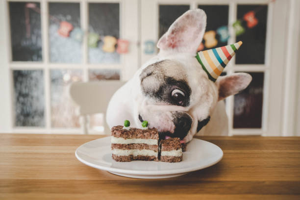 Dog Birthday Cake