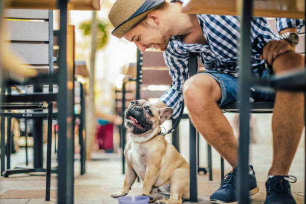 Frenchie Dog Friendly Coffee Shop Cafe in Dallas DFW