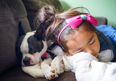 Little girl sleeping next to a boston terrier on the couch