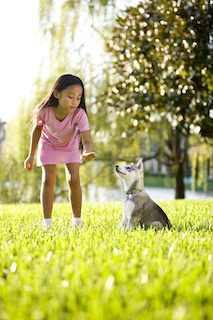 Girl training puppy