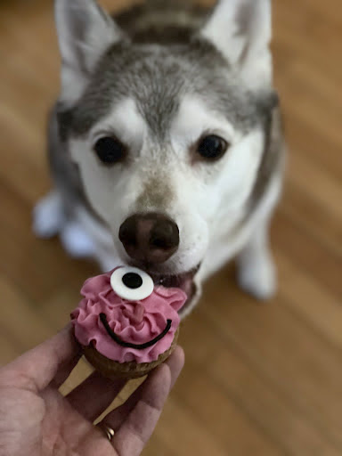 Dog enjoying a pupcake from Three Dog Bakery