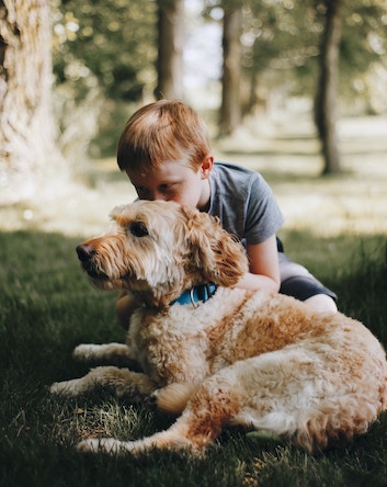 Little boy giving a dog a kiss