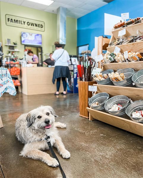 Dog stores store near me