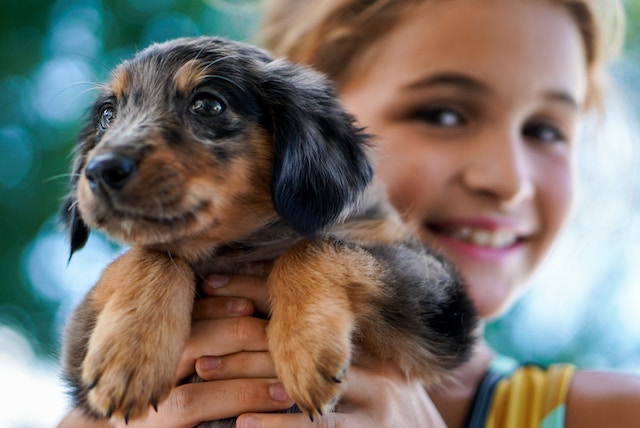 Little girl holding a cute puppy