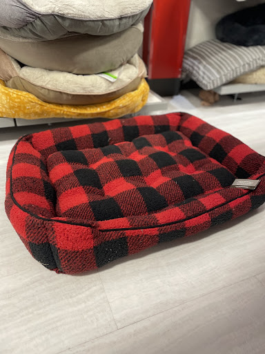 Festive holiday dog bed