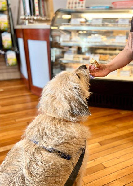 Three Dog Bakery in KC