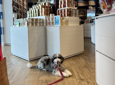 Dog inside Bath and Body Works