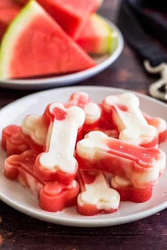 Frozen Watermelon Dog Treats